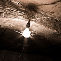 A cobweb-covered lightbulb