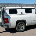 Preparing for integrated pest management in Denver