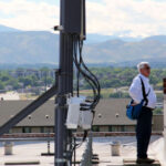 Commercial pest management solutions in Denver