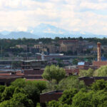 The top-rated pest management company in Denver