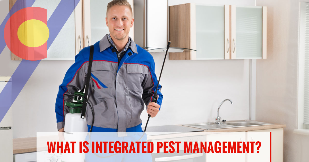 What is integrated pest management