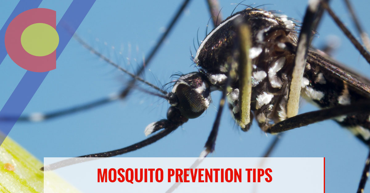 Mosquito prevention tips