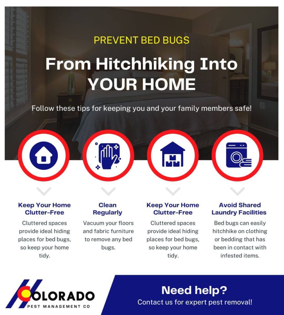 Prevent Bed Bugs From Hitchhiking Into Your Home