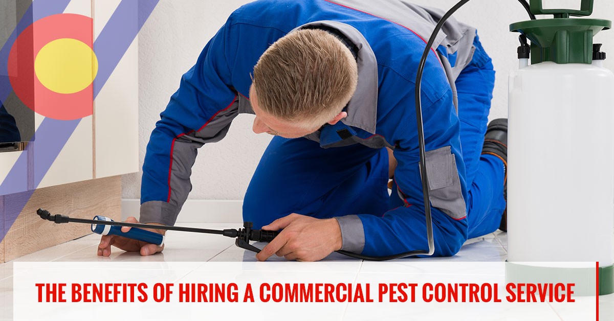 The benefits of hiring a commercial pest control service