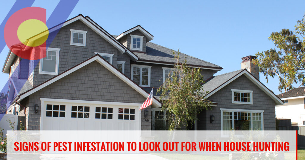 Signs of pest infestation to look out for when house hunting