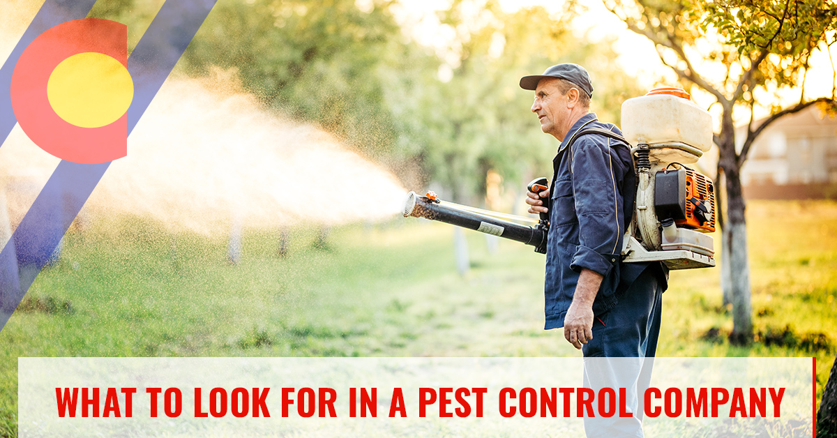 What to look for in a pest control company