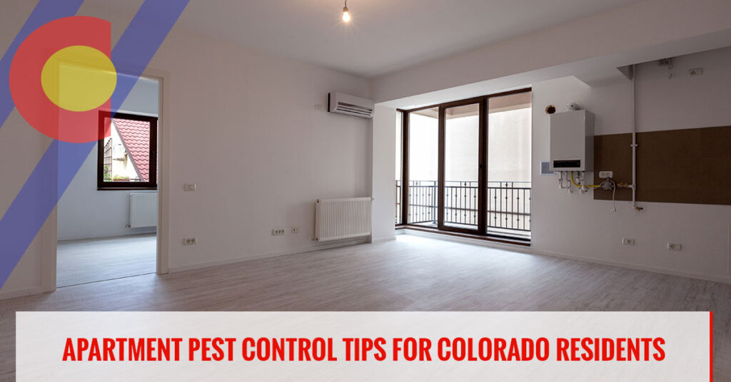 Pest control tips for those living in apartments in Colorado
