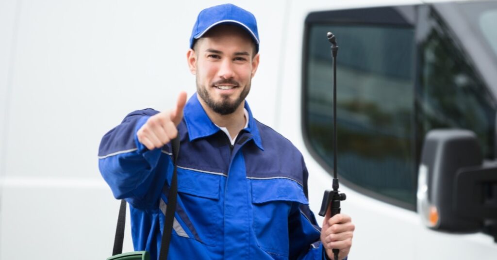 How our Denver pest management company can help during COVID19