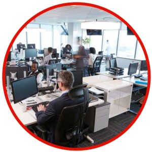 Clean and pest-free office