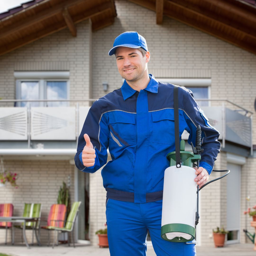 Pest control professional