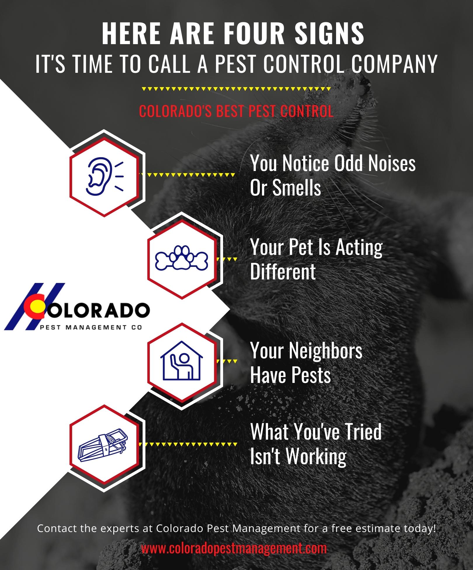 How to Tell If You Need an Exterminator Infographic
