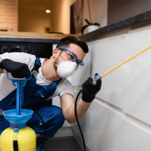 img of someone spraying for bugs