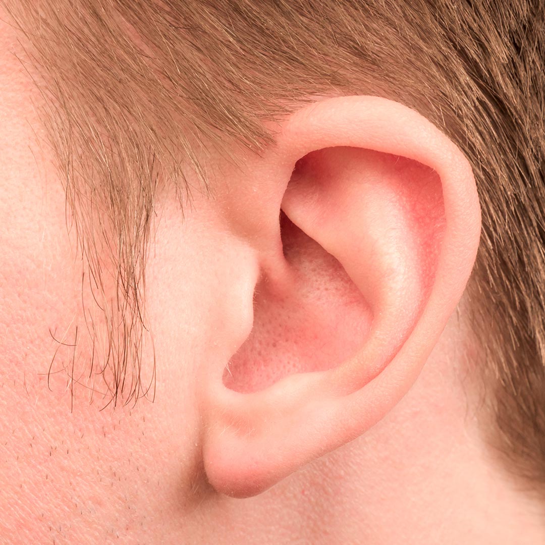 Close up of a man's ear