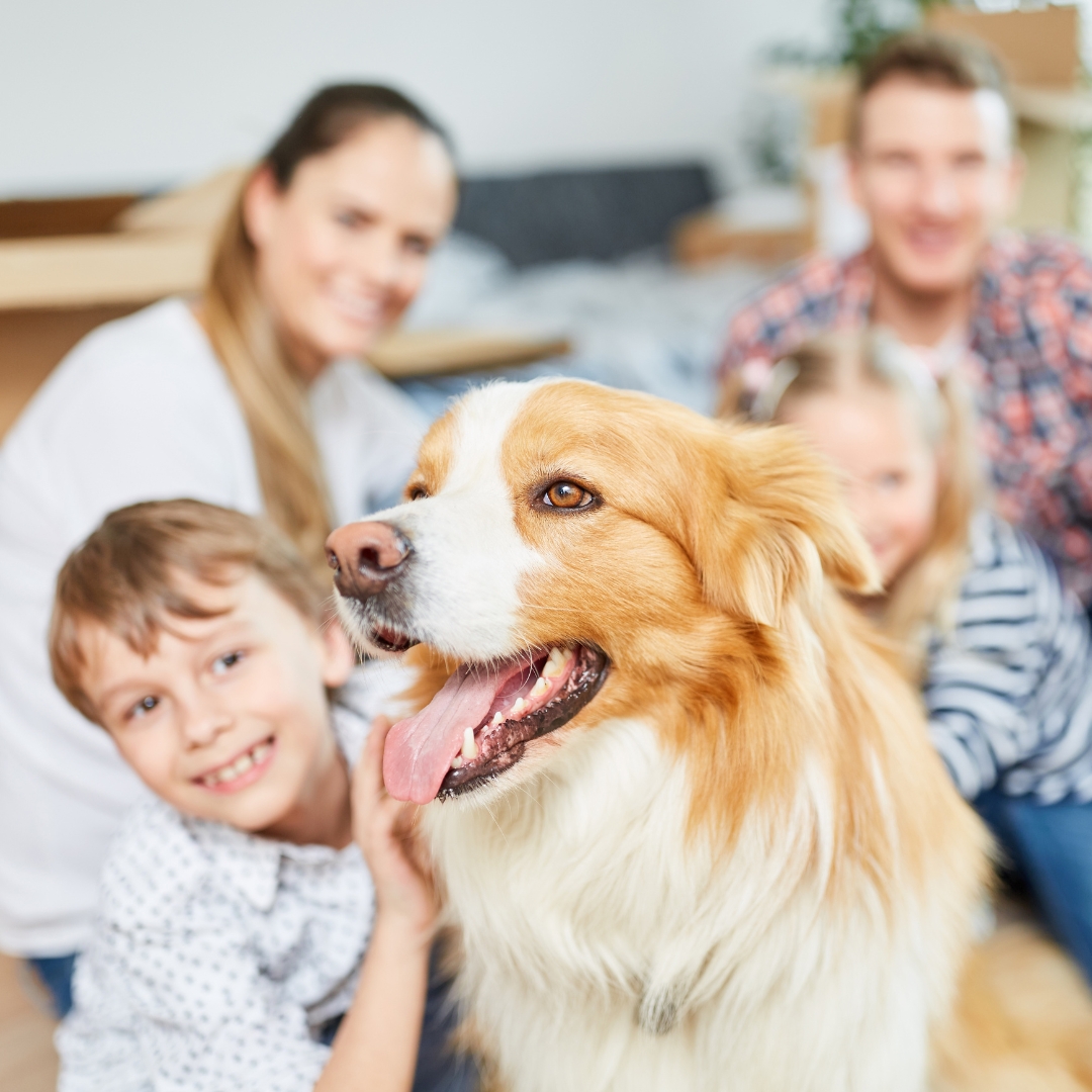 Dog with family