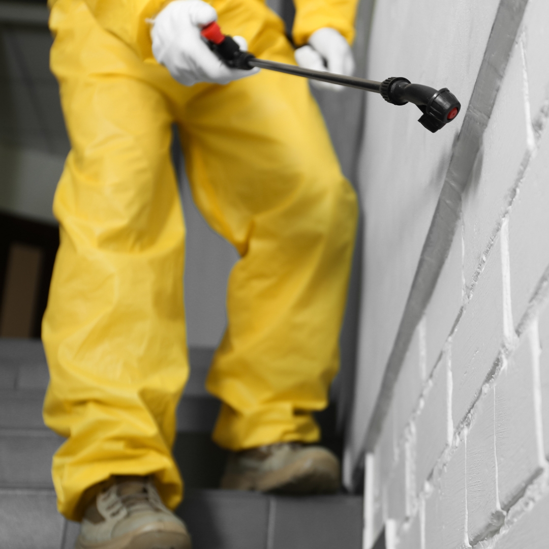 Spray pesticide