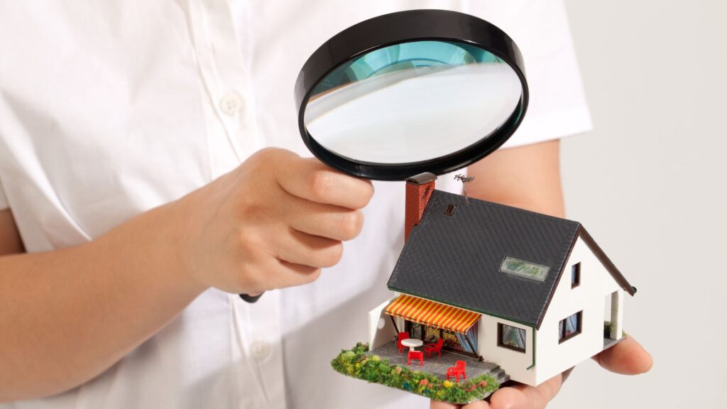 How to Inspect Your Home for Potential Mouse Entry Points