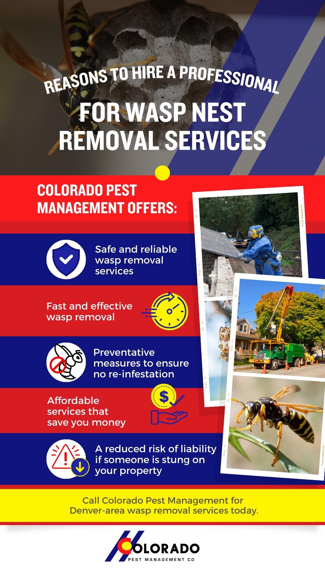 Reasons-To-Hire-a-Professional-for-Wasp-Nest-Removal-Services