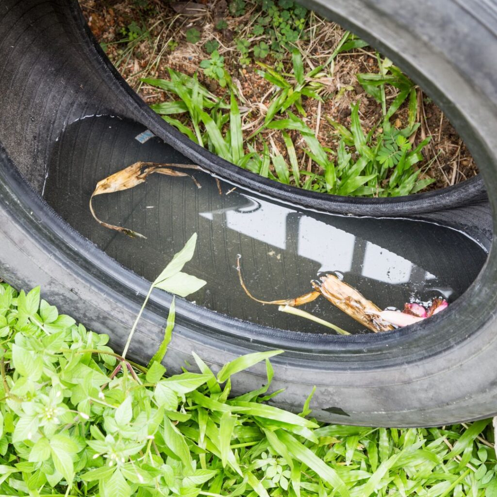 standing water in tire