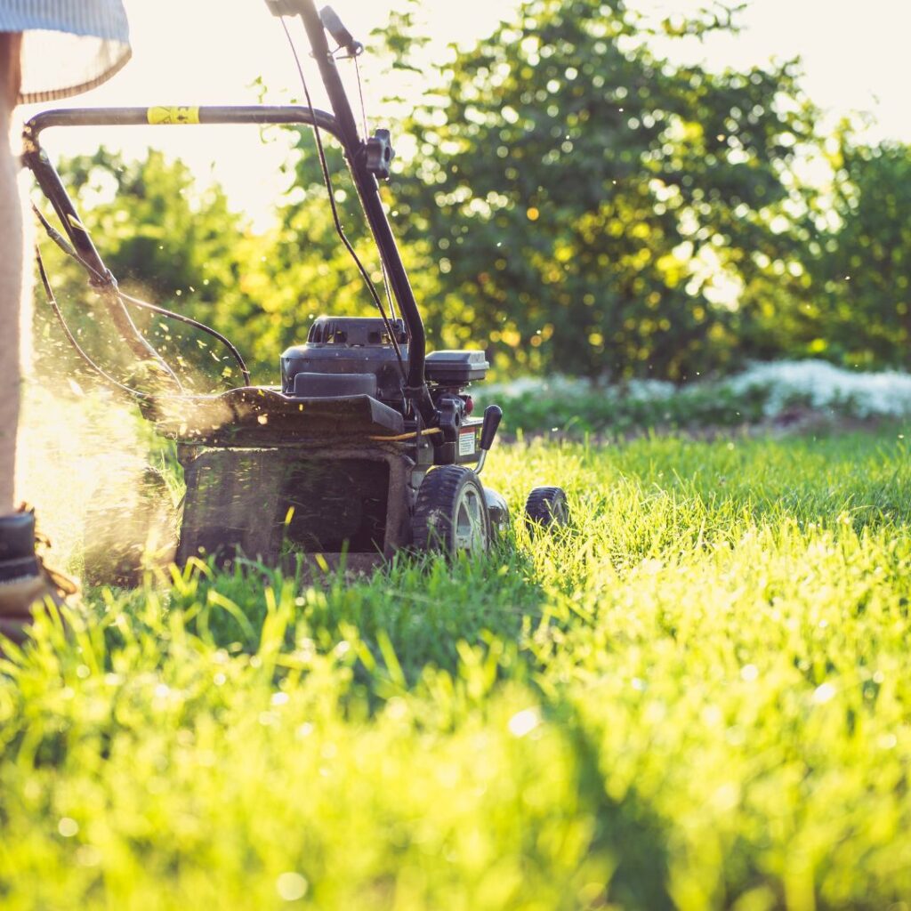 mowing the lawn
