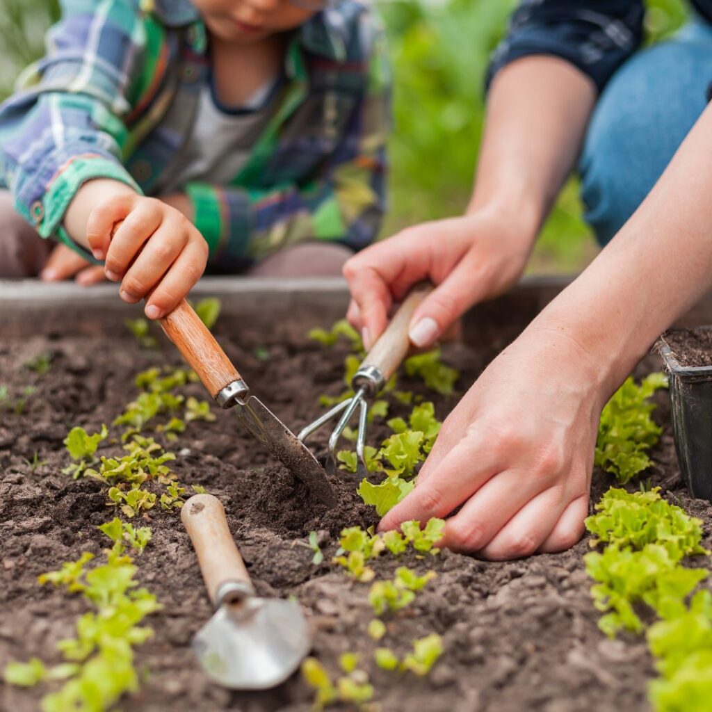 digging in garden