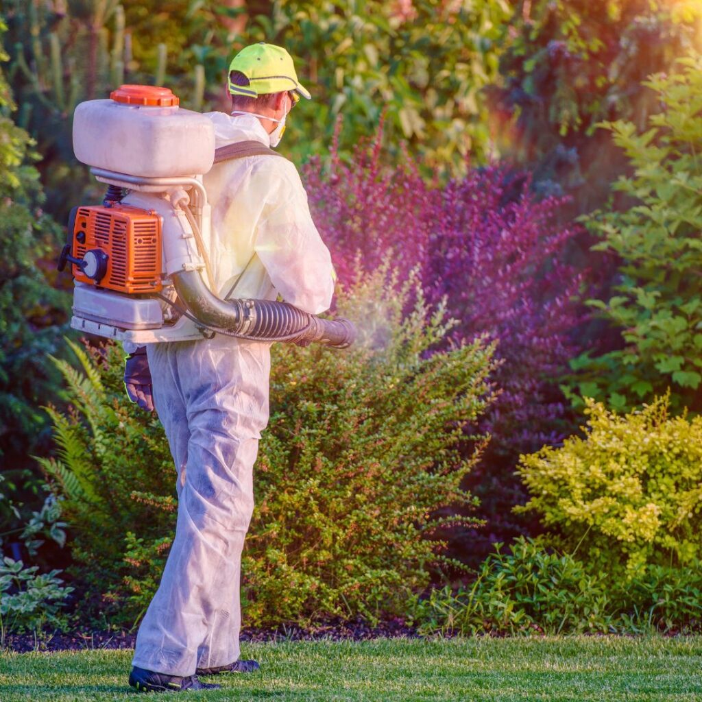 pest control spraying garden
