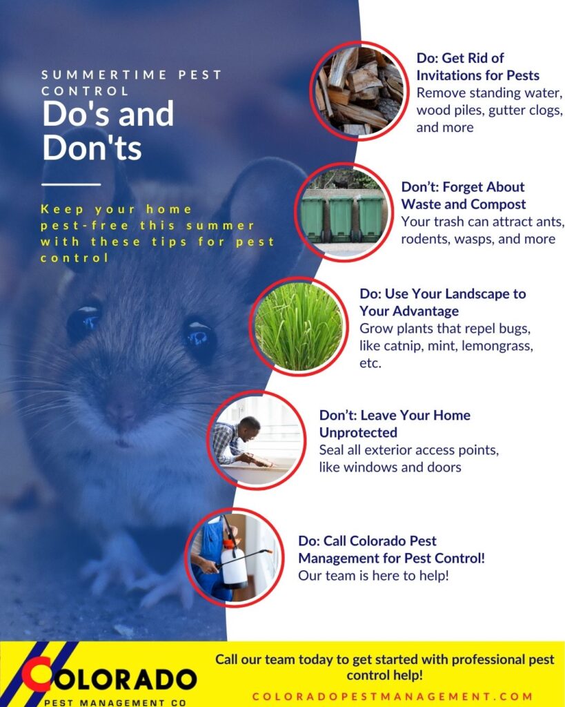 Summertime Pest Control Dos and Donts infographic