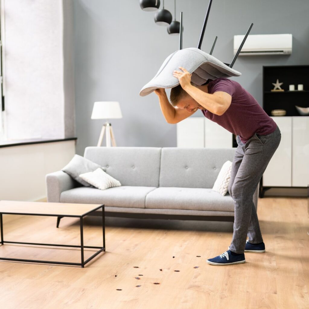 tenant with bugs
