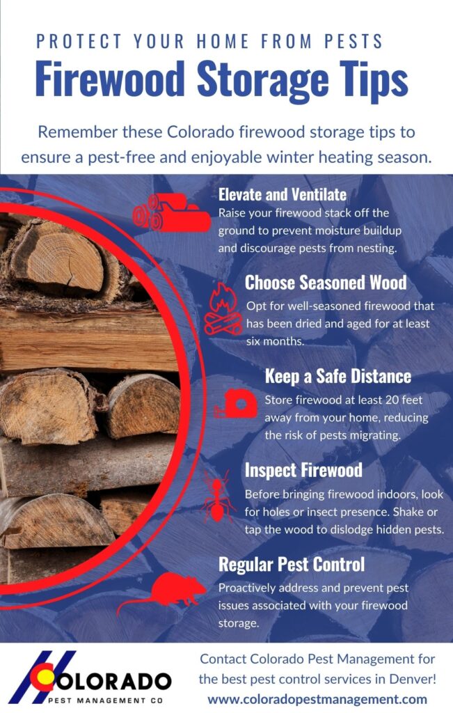 Firewood Storage Tips Infographic