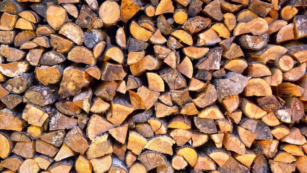 pile of firewood