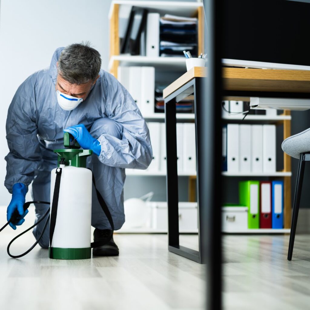 pest control in office