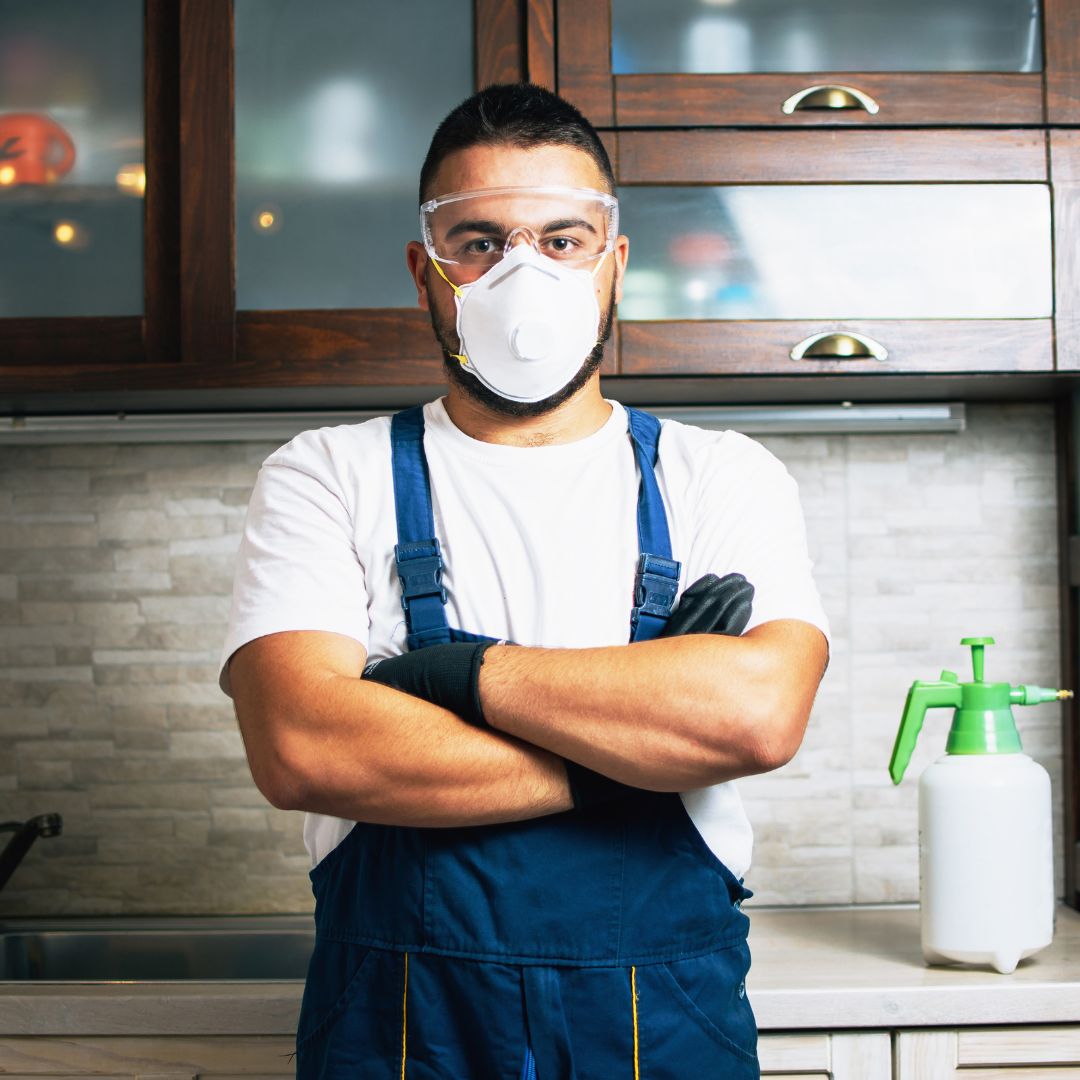 Pest control.