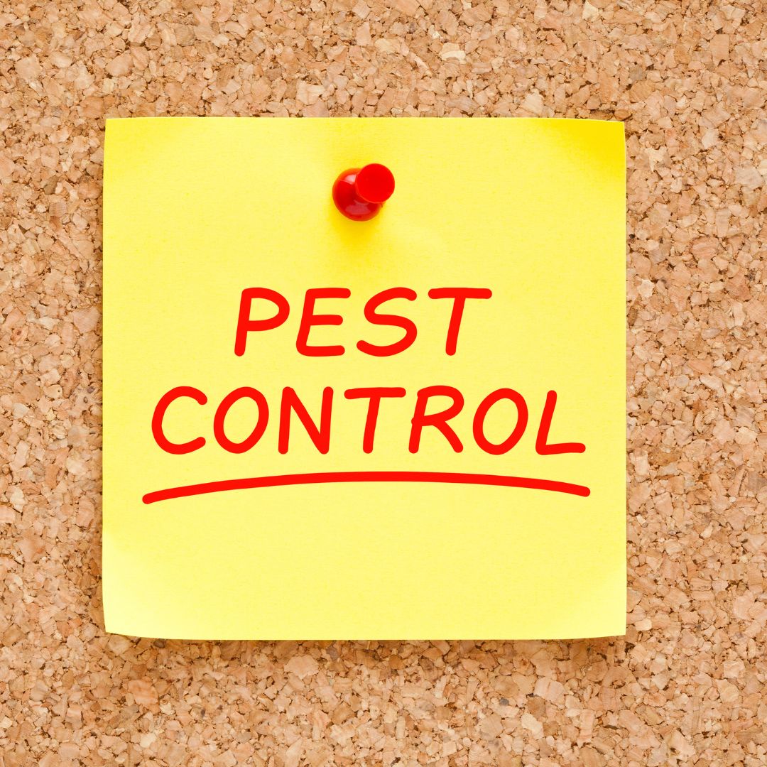 Pest control.