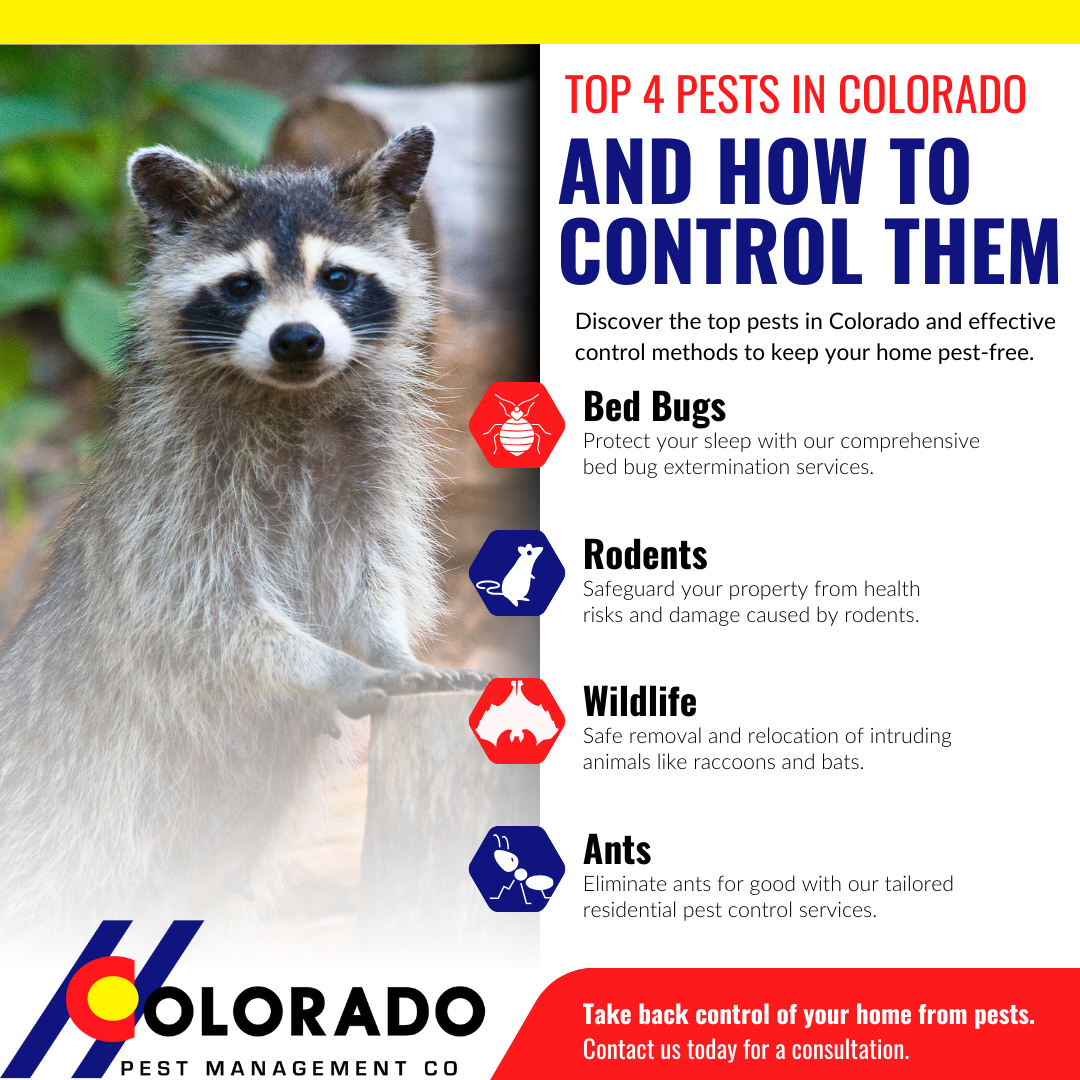 Infographic - Top 4 Pests in Colorado and How to Control Them