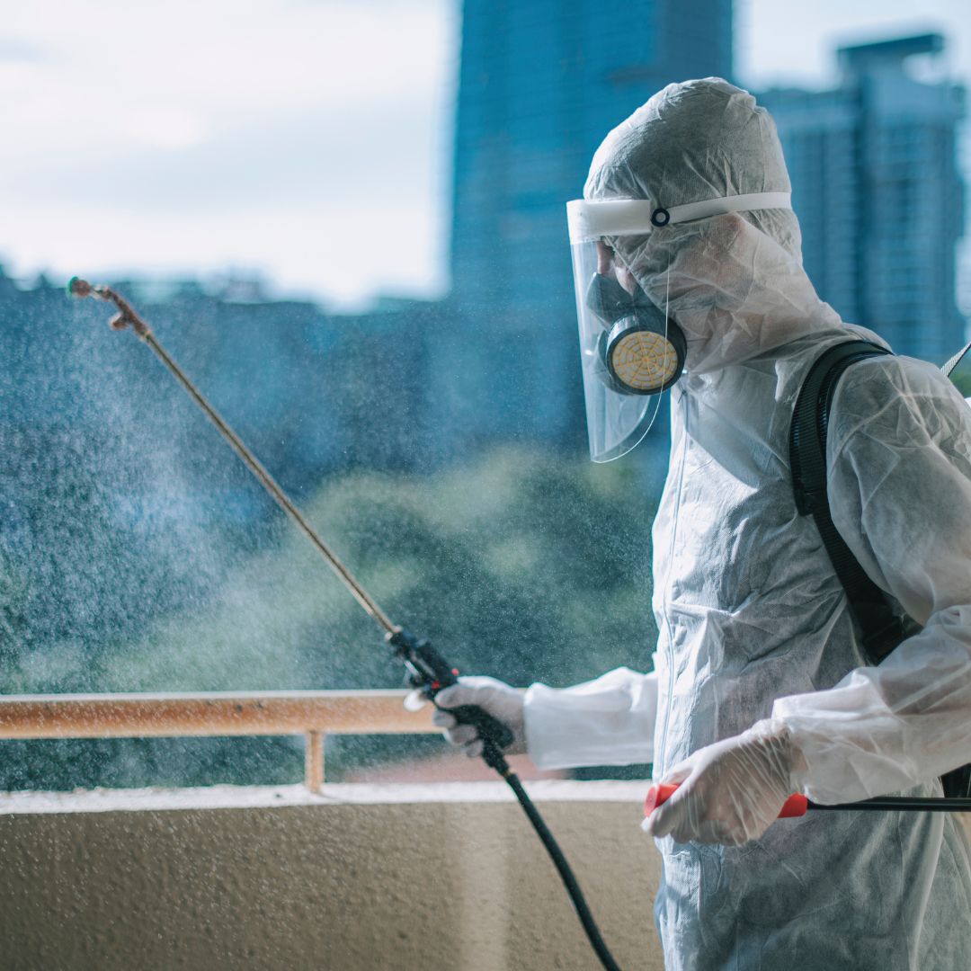 local pest control rapid response