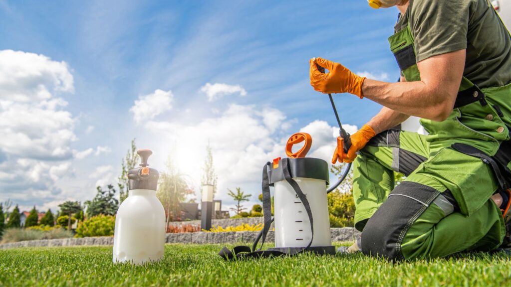 eco-friendly pest control solutions