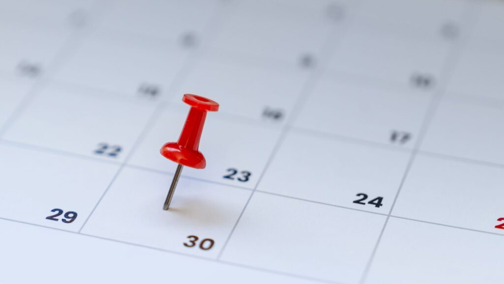 pest control services schedule or appointment
