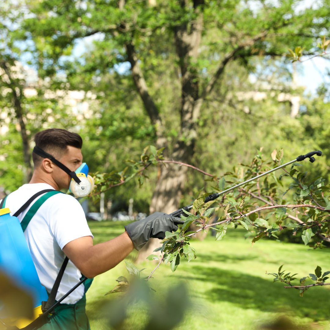 environmental impact of pest control services