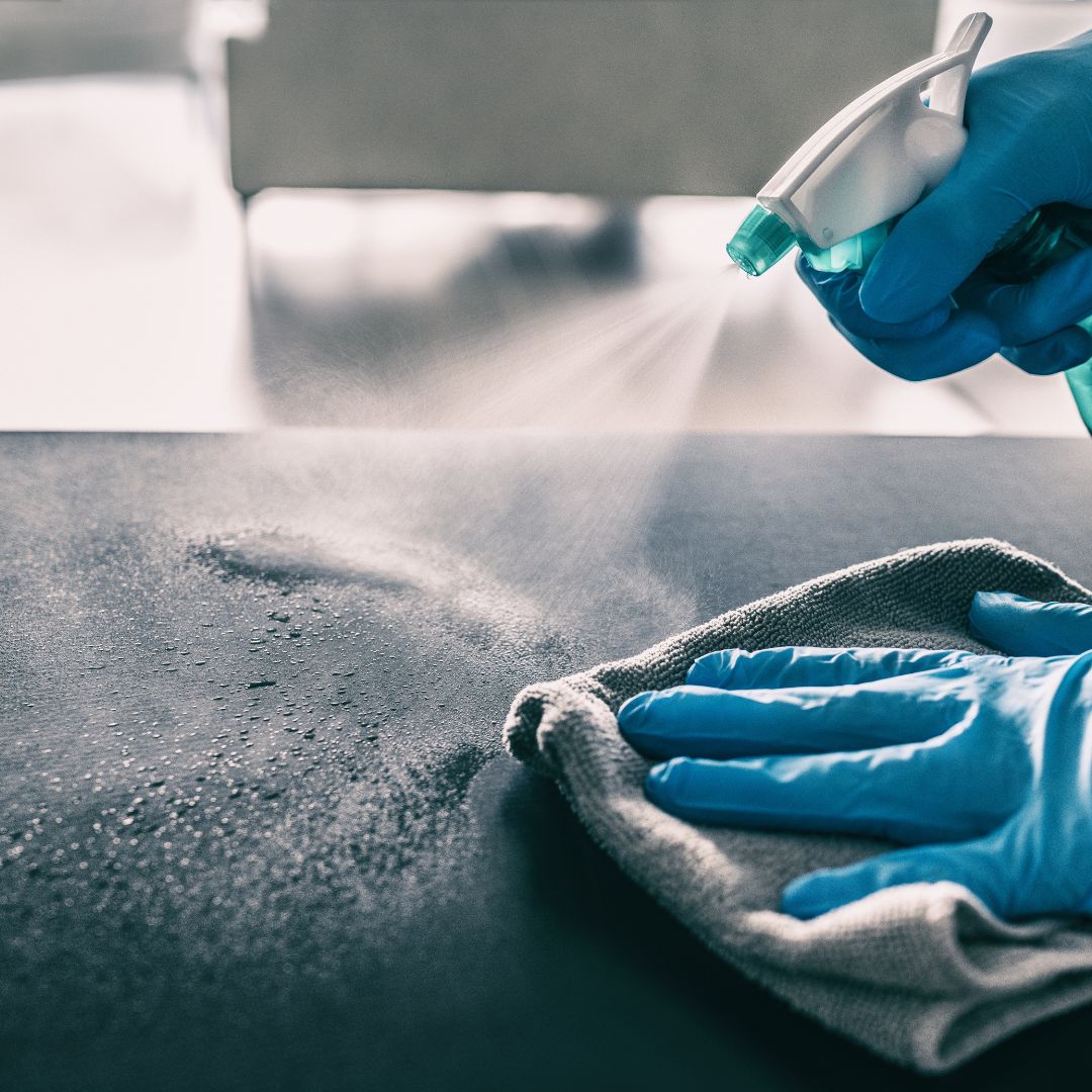 cleaning up after pest infestations