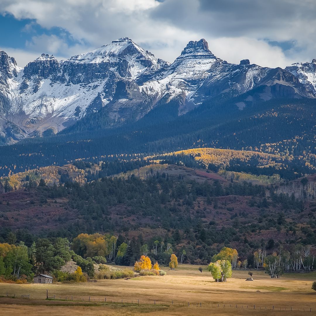 colorado pest control challenges
