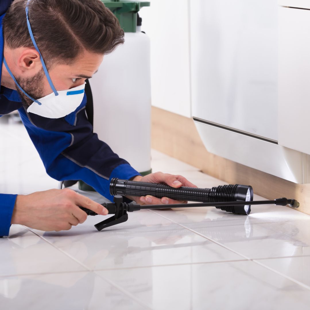 integrated pest management approach