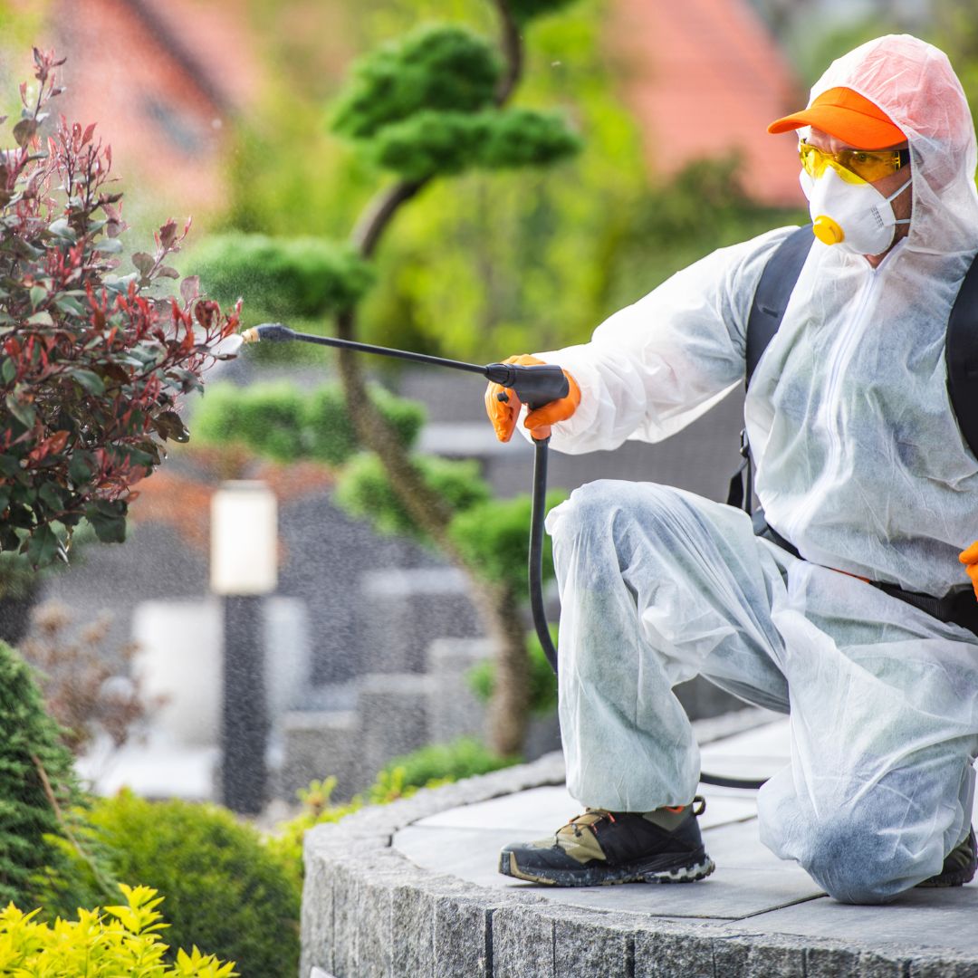 pest control services
