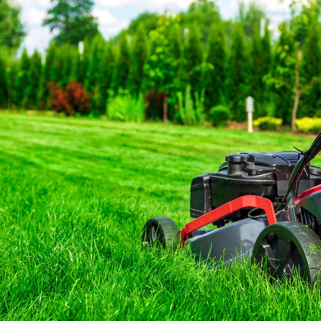 mowing lawn