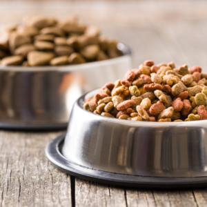 photo of dog food