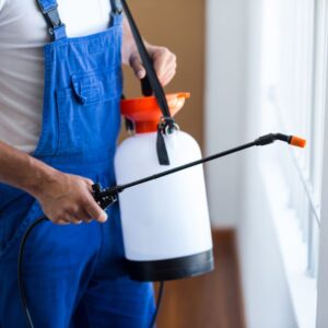 photo of school pest control