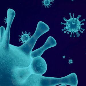 photo of disease