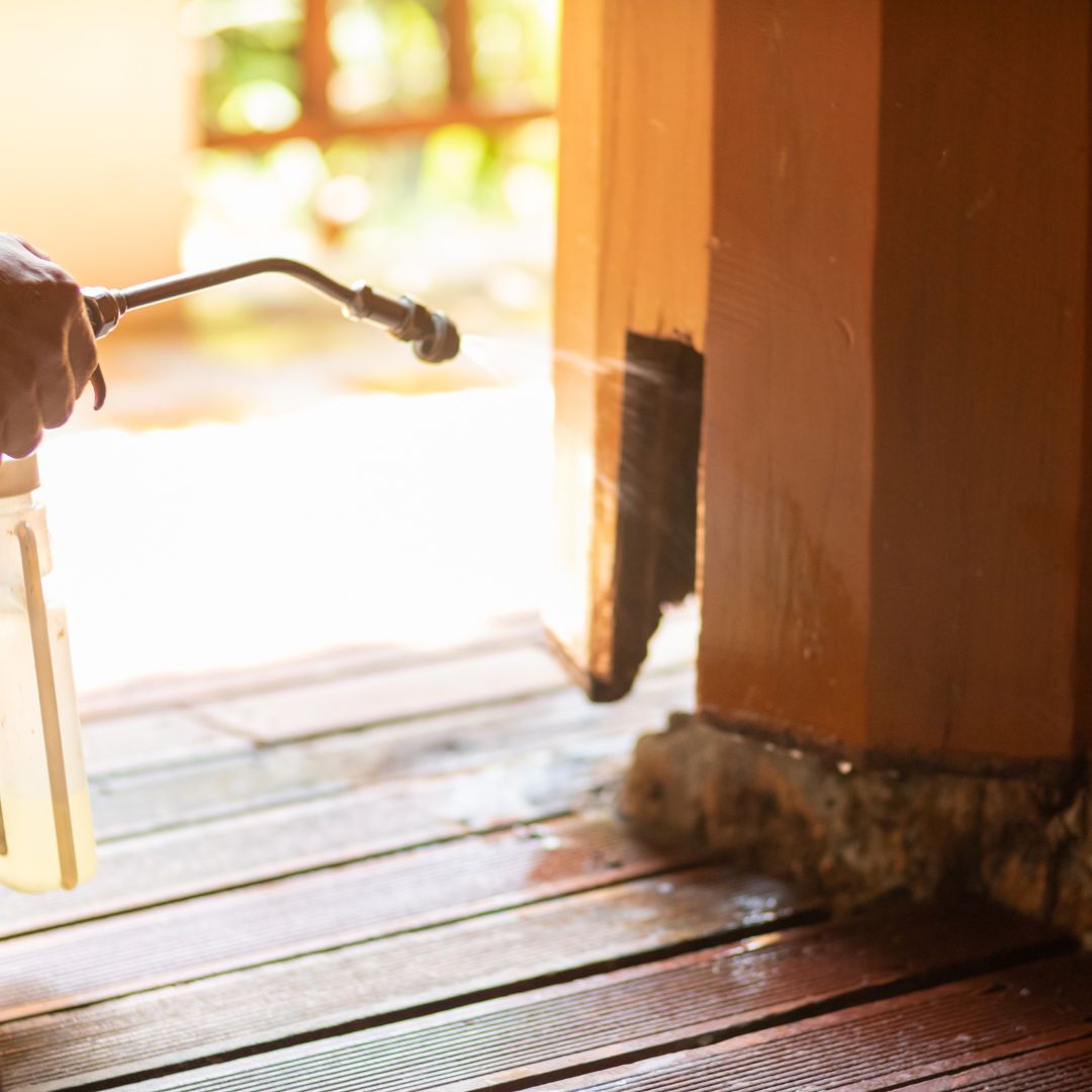 spraying open doorway