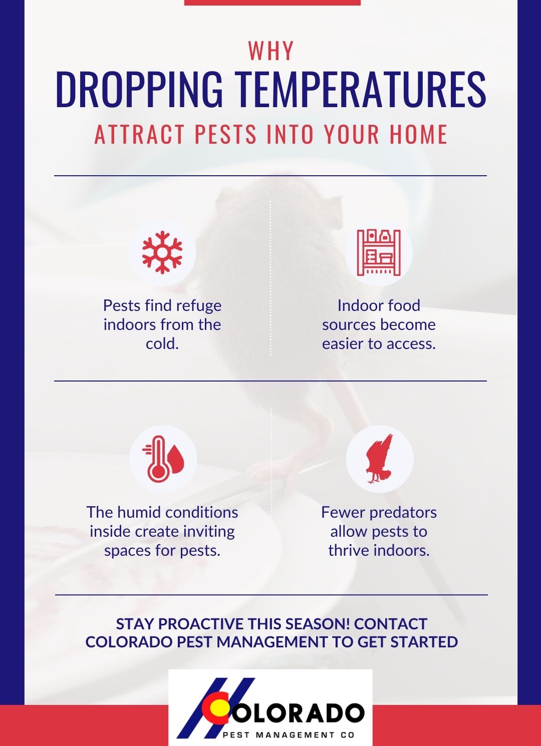 Infographic titled Why Dropping Temperatures Attract Pests Into Your Home