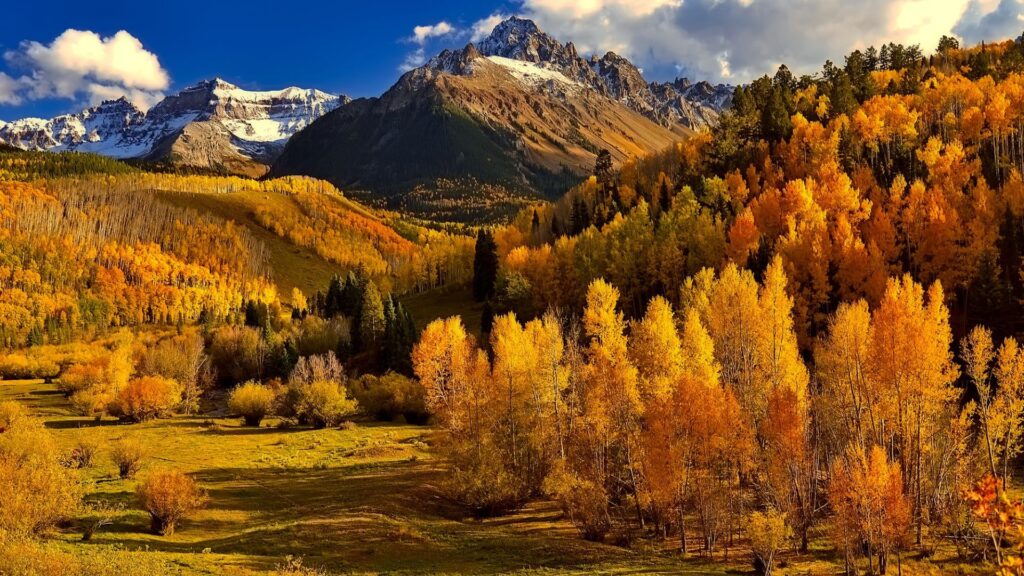 Colorado landscape with fall leaves
