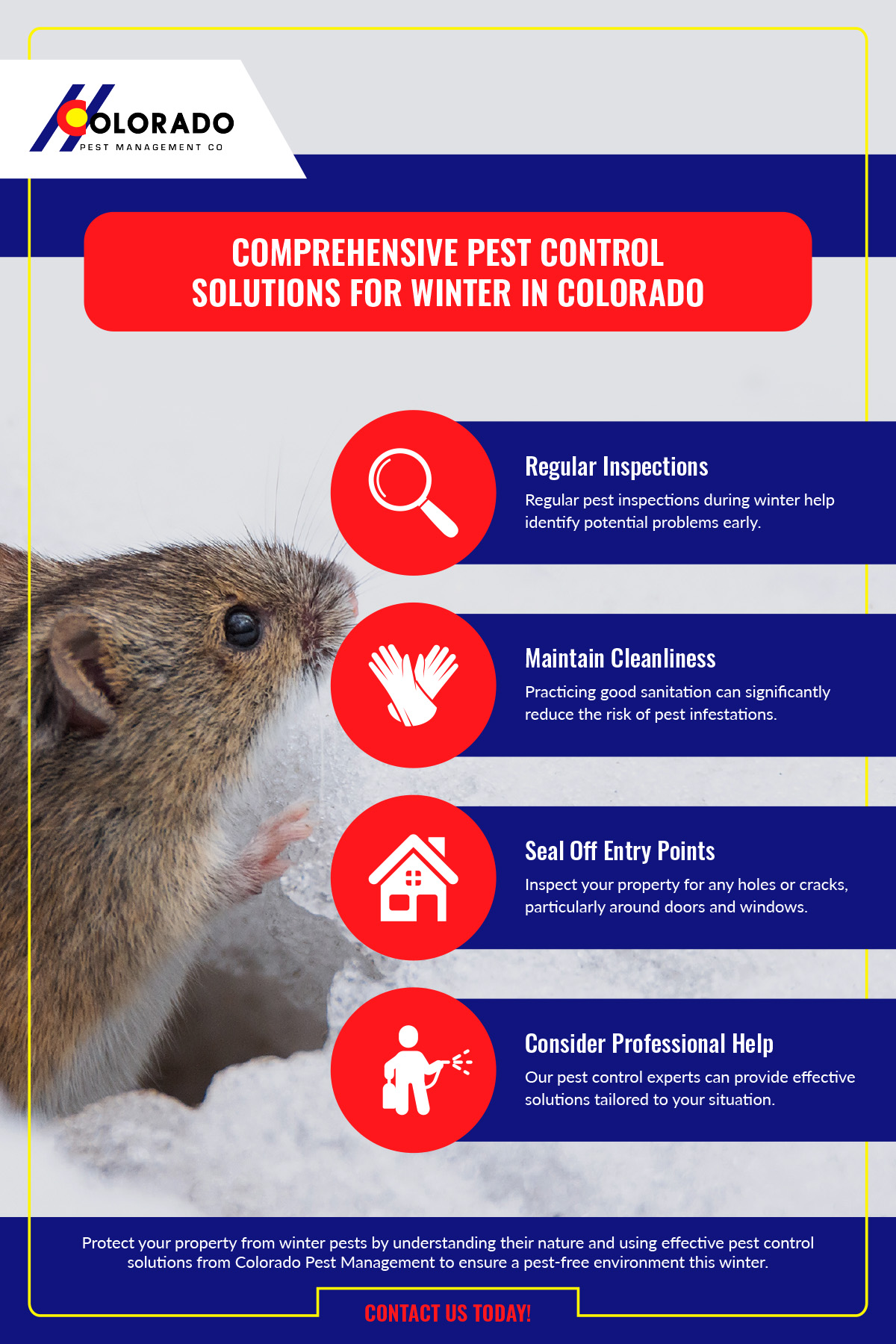 Comprehensive Pest Control Solutions for Winter in Colorado Infographic