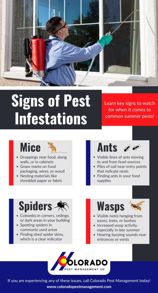 signs of pest infestations